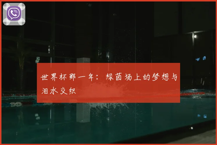 世界杯那一年：绿茵场上的梦想与泪水交织