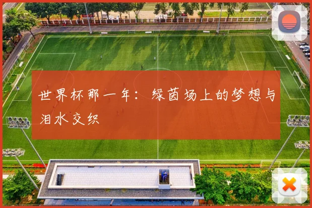 世界杯那一年：绿茵场上的梦想与泪水交织