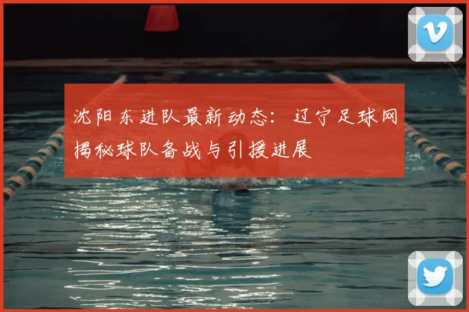 沈阳东进队最新动态：辽宁足球网揭秘球队备战与引援进展