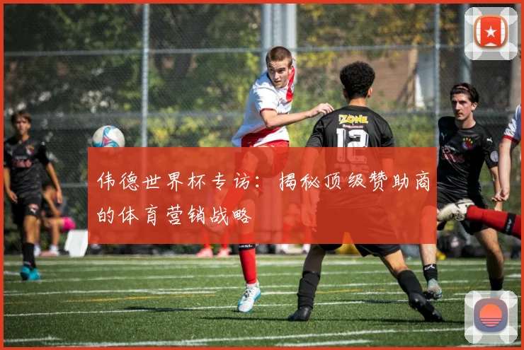 伟德世界杯专访：揭秘顶级赞助商的体育营销战略